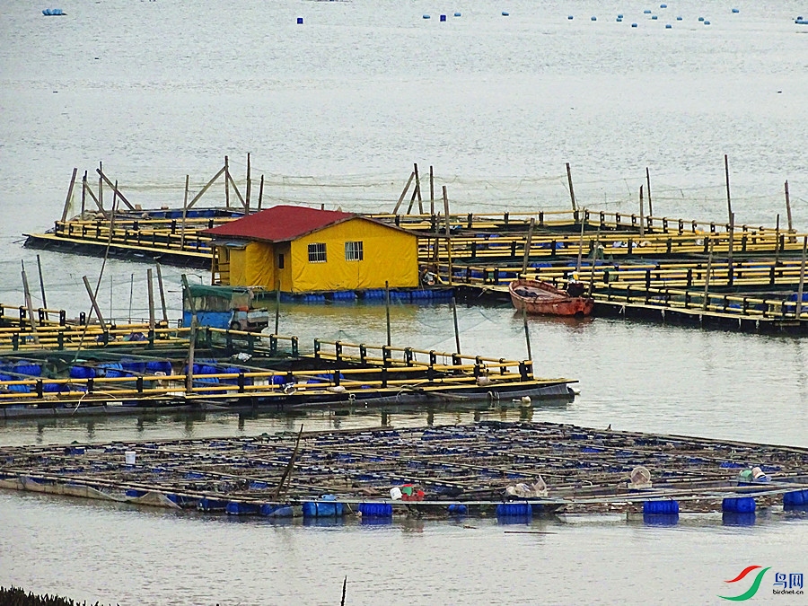 DSC02262.JPG