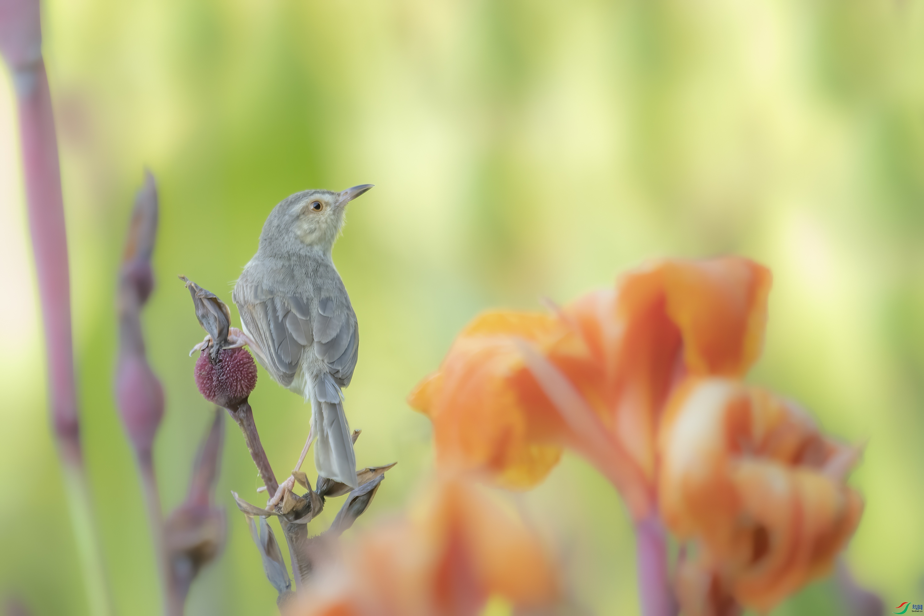 DSC_3654.jpg