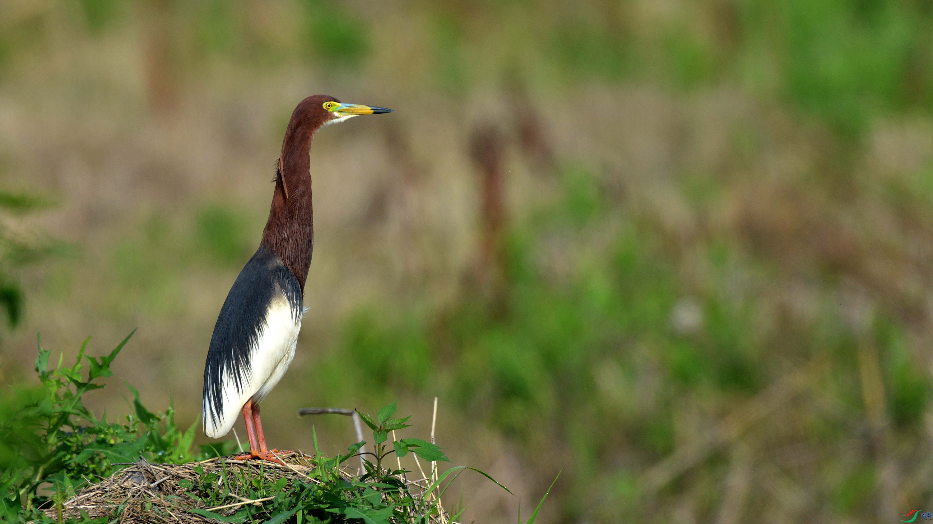 DSC_9167.jpg