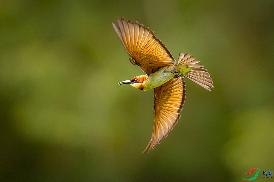 3V6A8084 ����.jpg