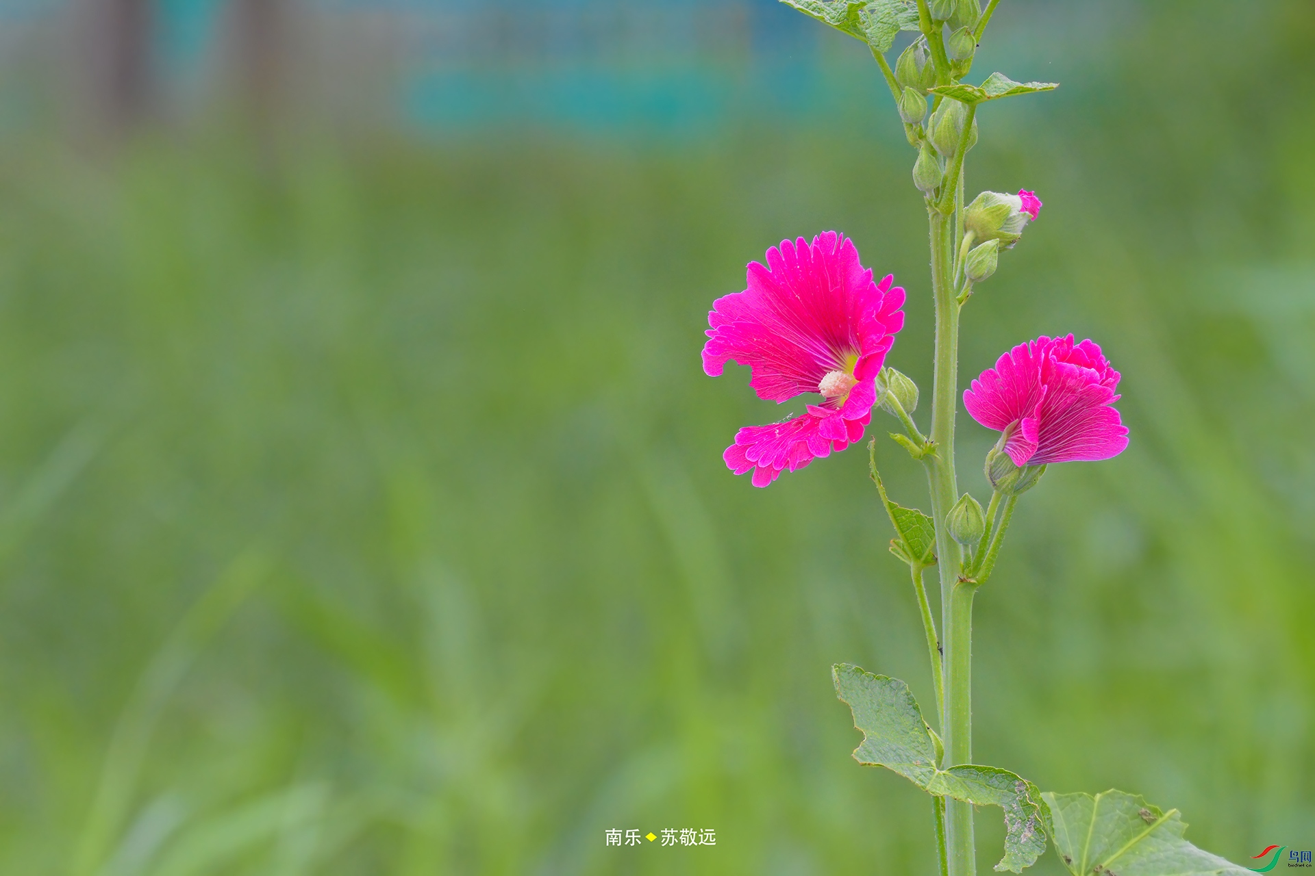 _DSC6214С.jpg