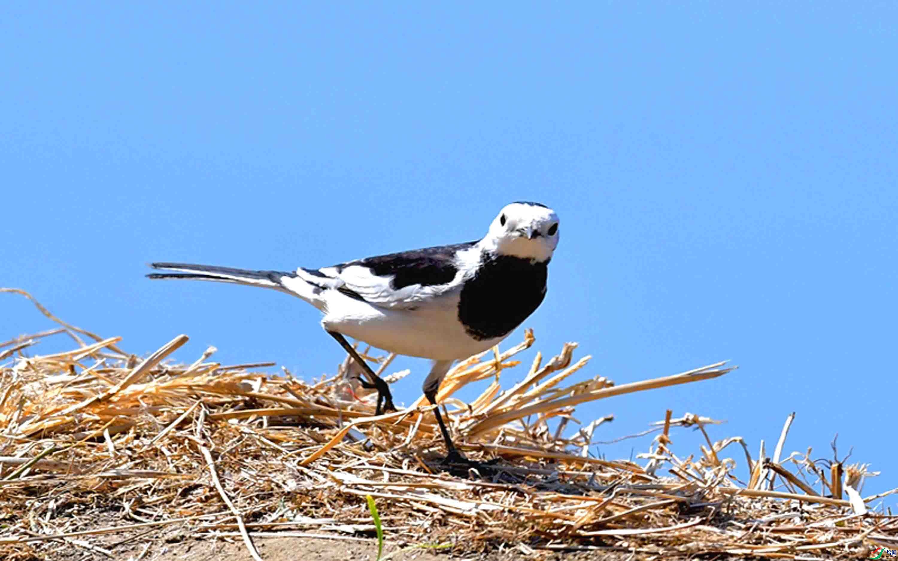 Copy2_DSC_2503_��ͼ��.jpg