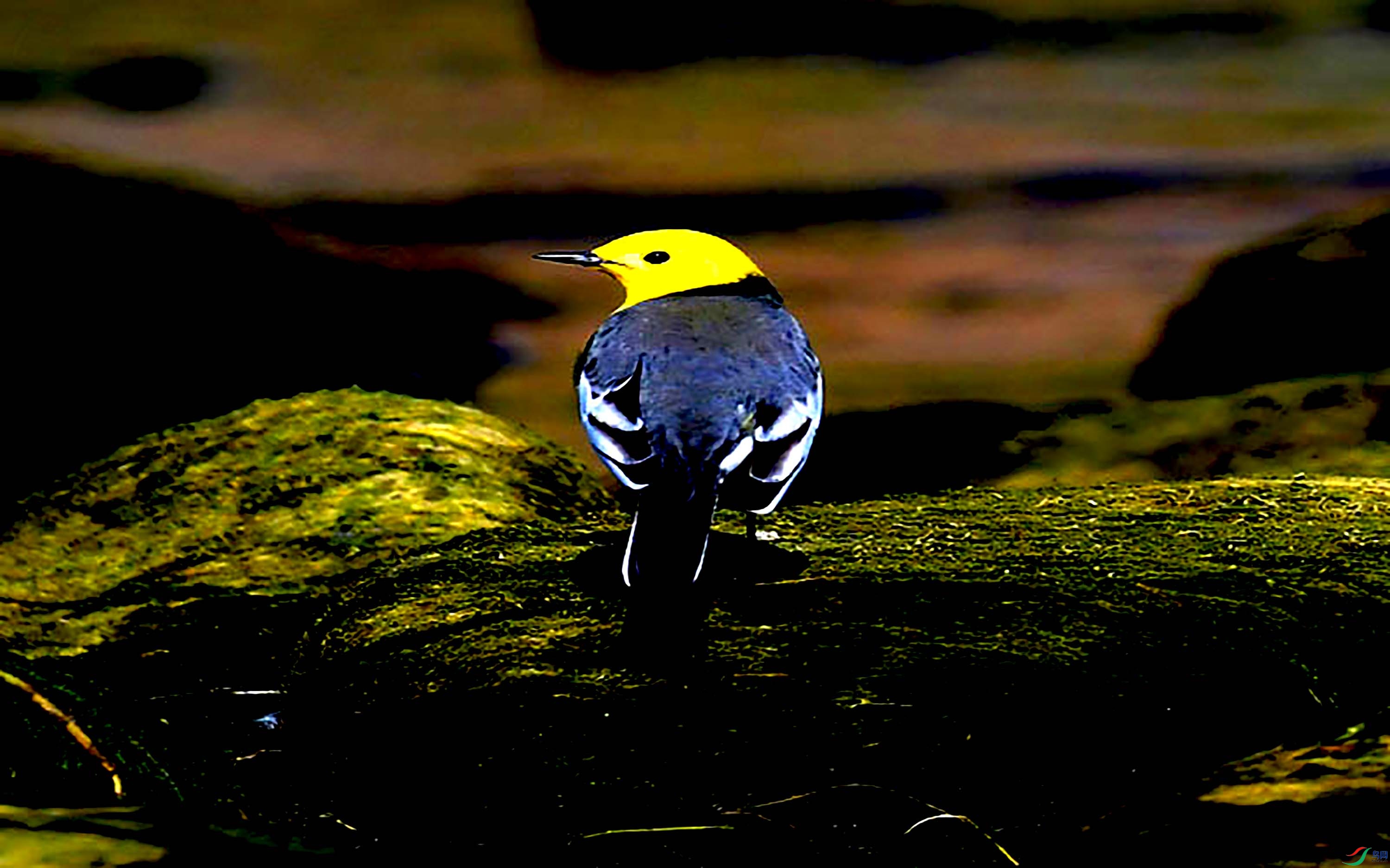 Copy2_DSC_2700_��ͼ��.jpg