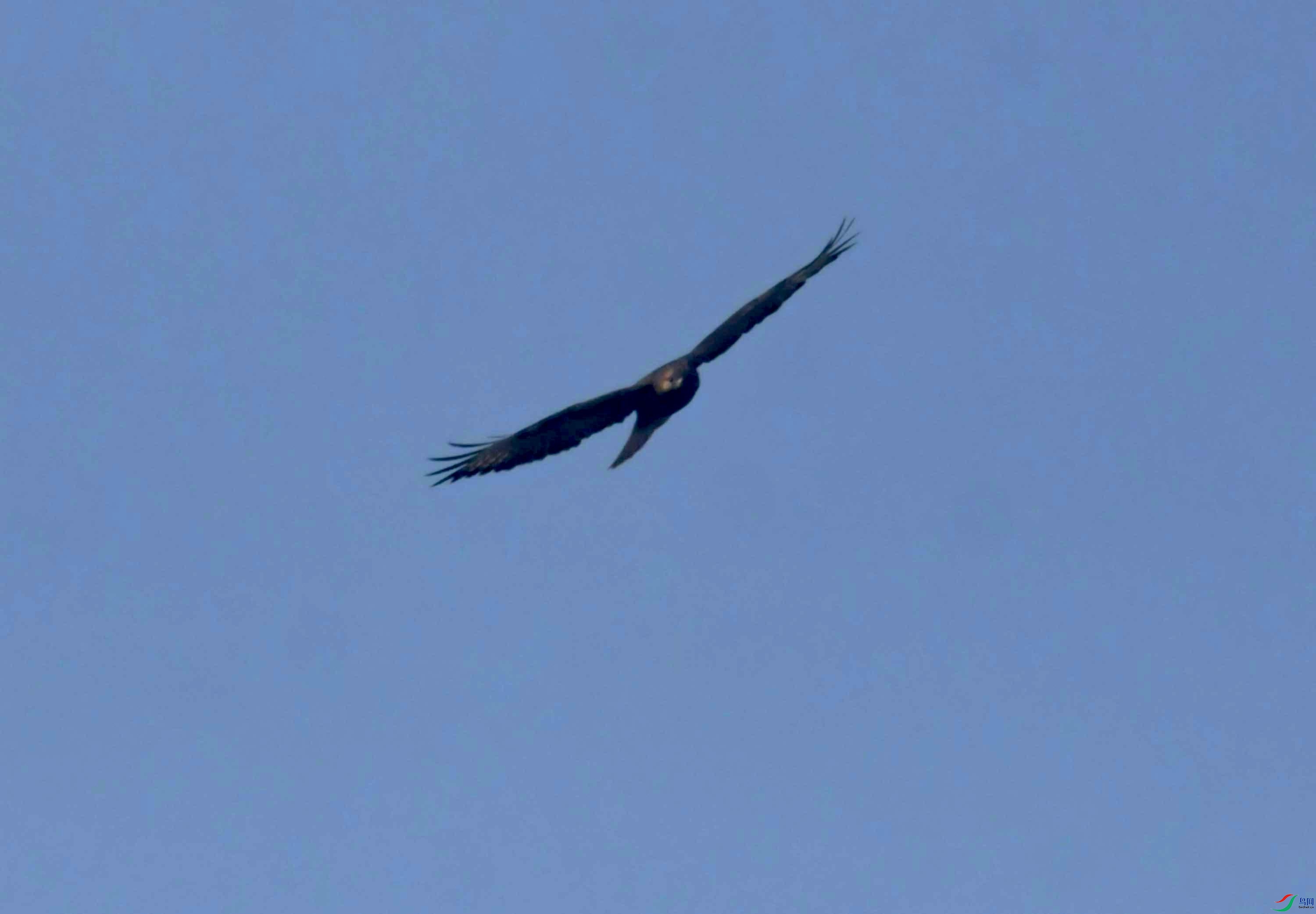 DSC_0062.JPG