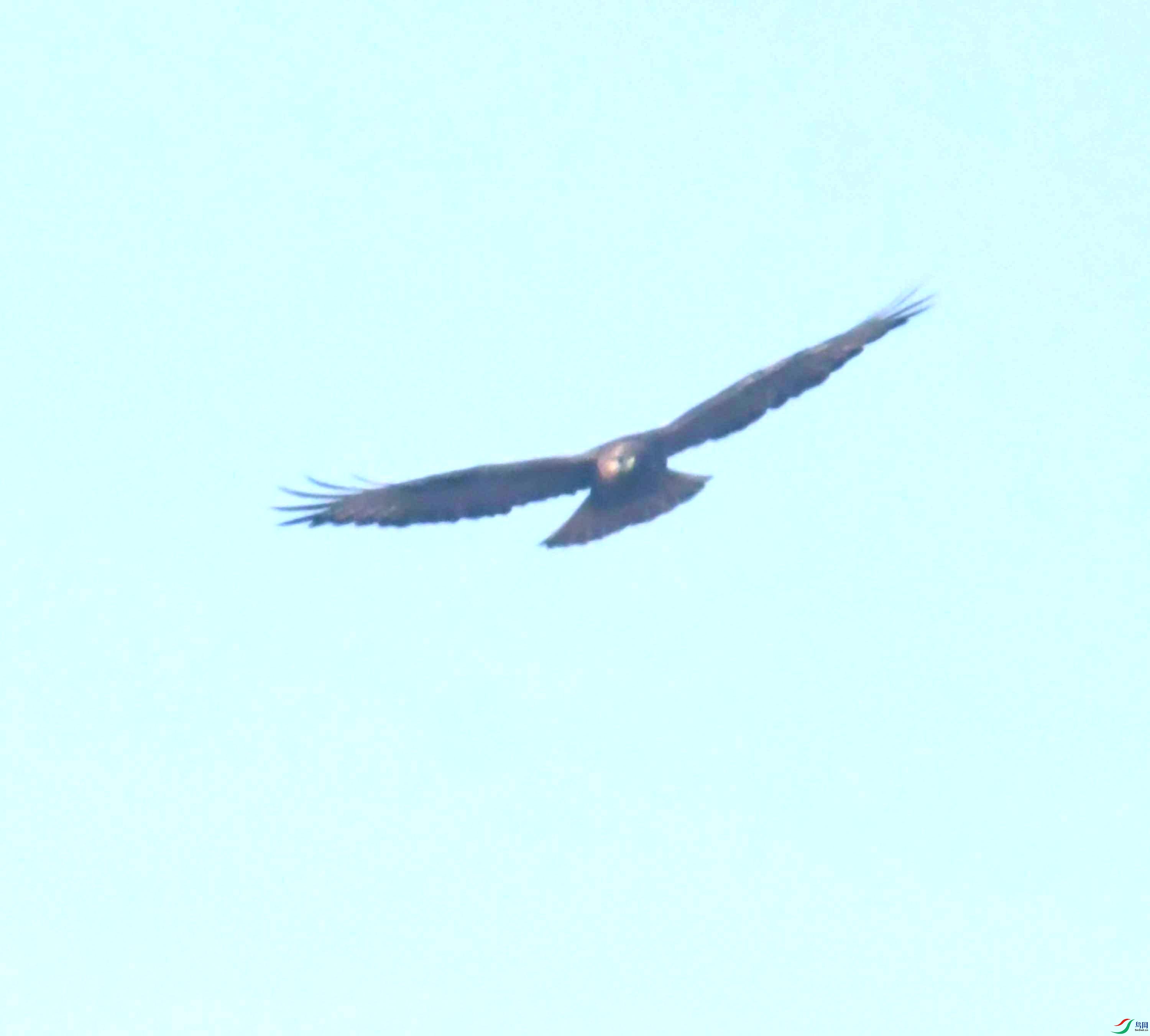 DSC_0064.JPG