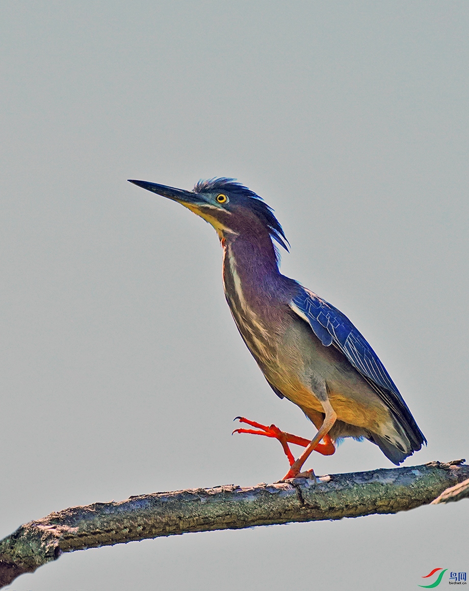 DSC09614----.jpg