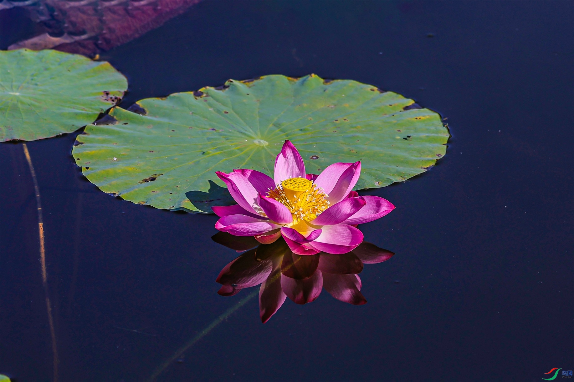 1K3A0507 ����1.jpg