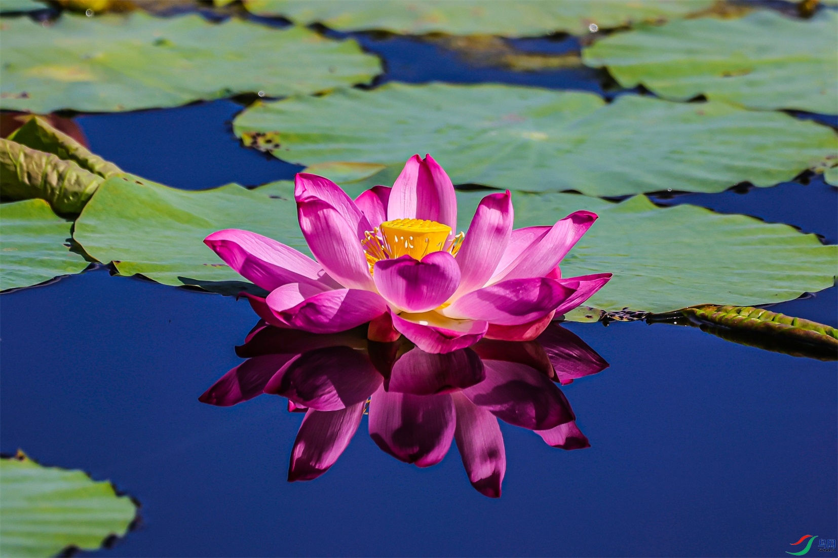 1K3A0570 ����1.jpg