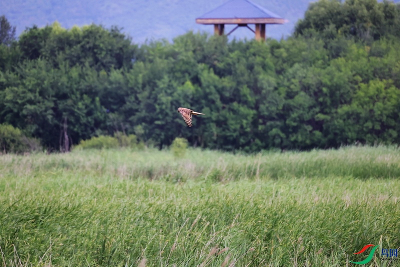 YYH0719�׸��� (1).JPG