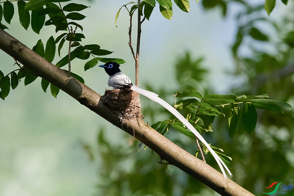 DSC_8872_DxOa.jpg