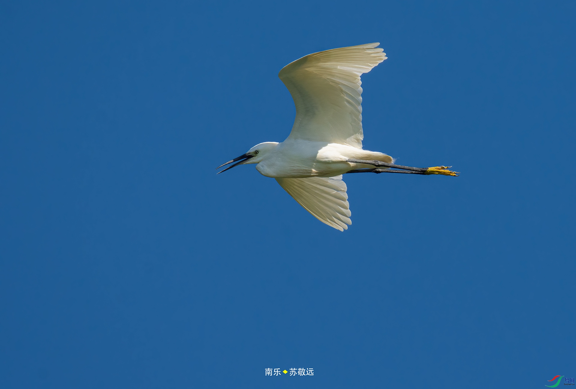 _DSC5824С.jpg