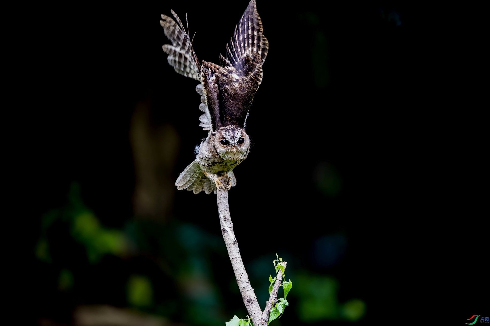 DSC_1884_����.jpg