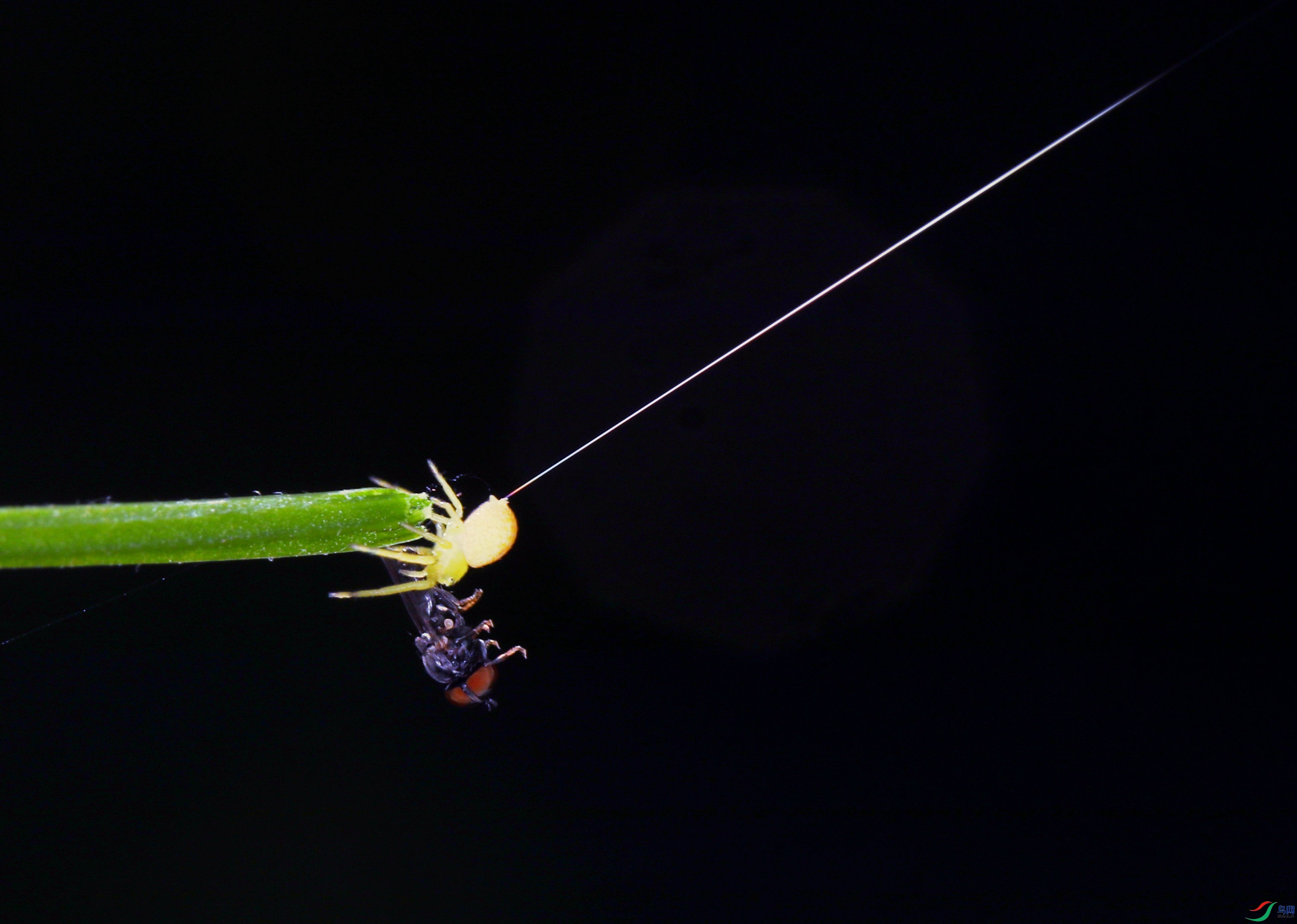 EC6A9830_����.jpg