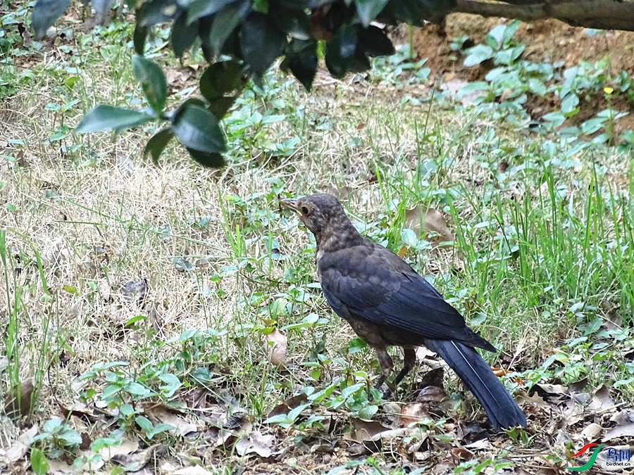 DSC02375.JPG