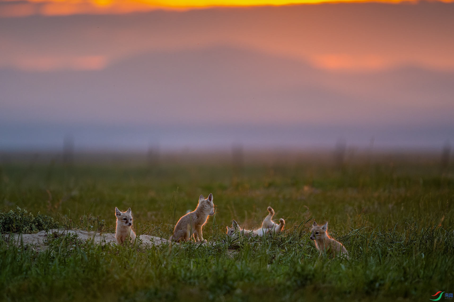_DSC5654-dng_DxO_DeepPRIMEС.jpg