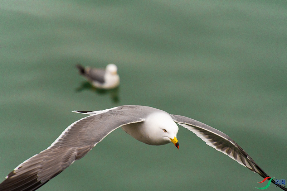 _DSC7964().jpg