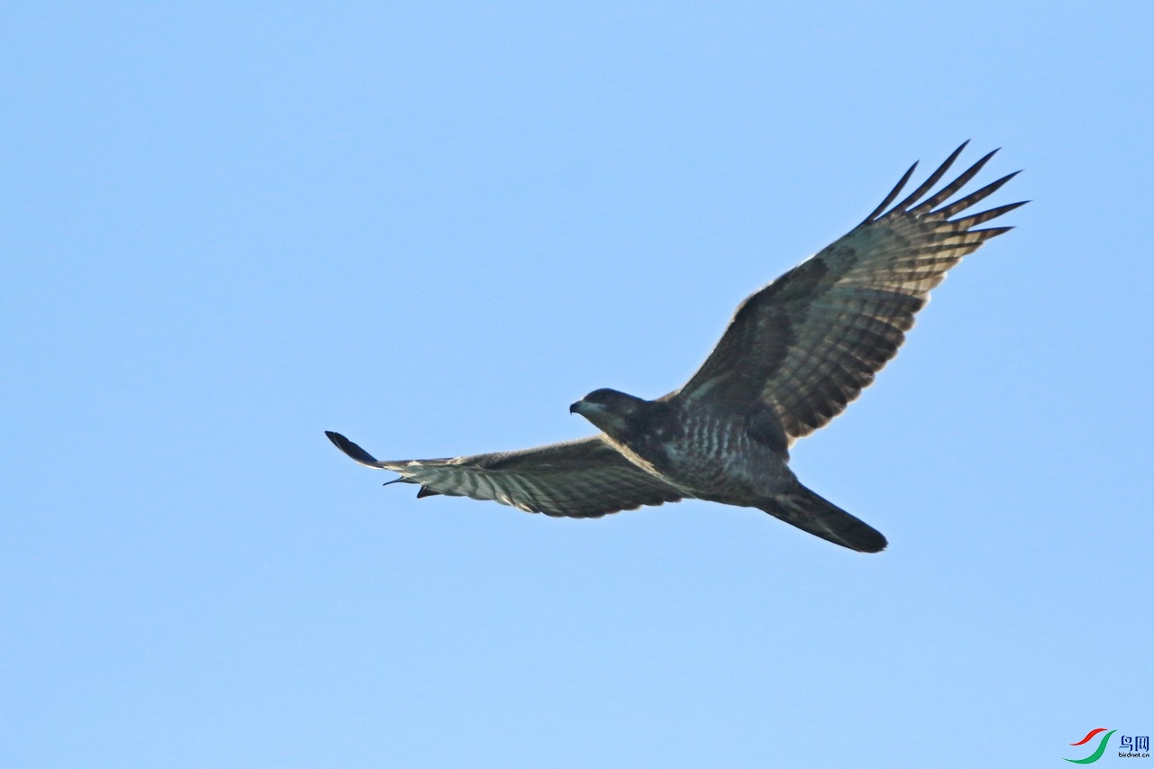 ���� 0F4A4005.jpg