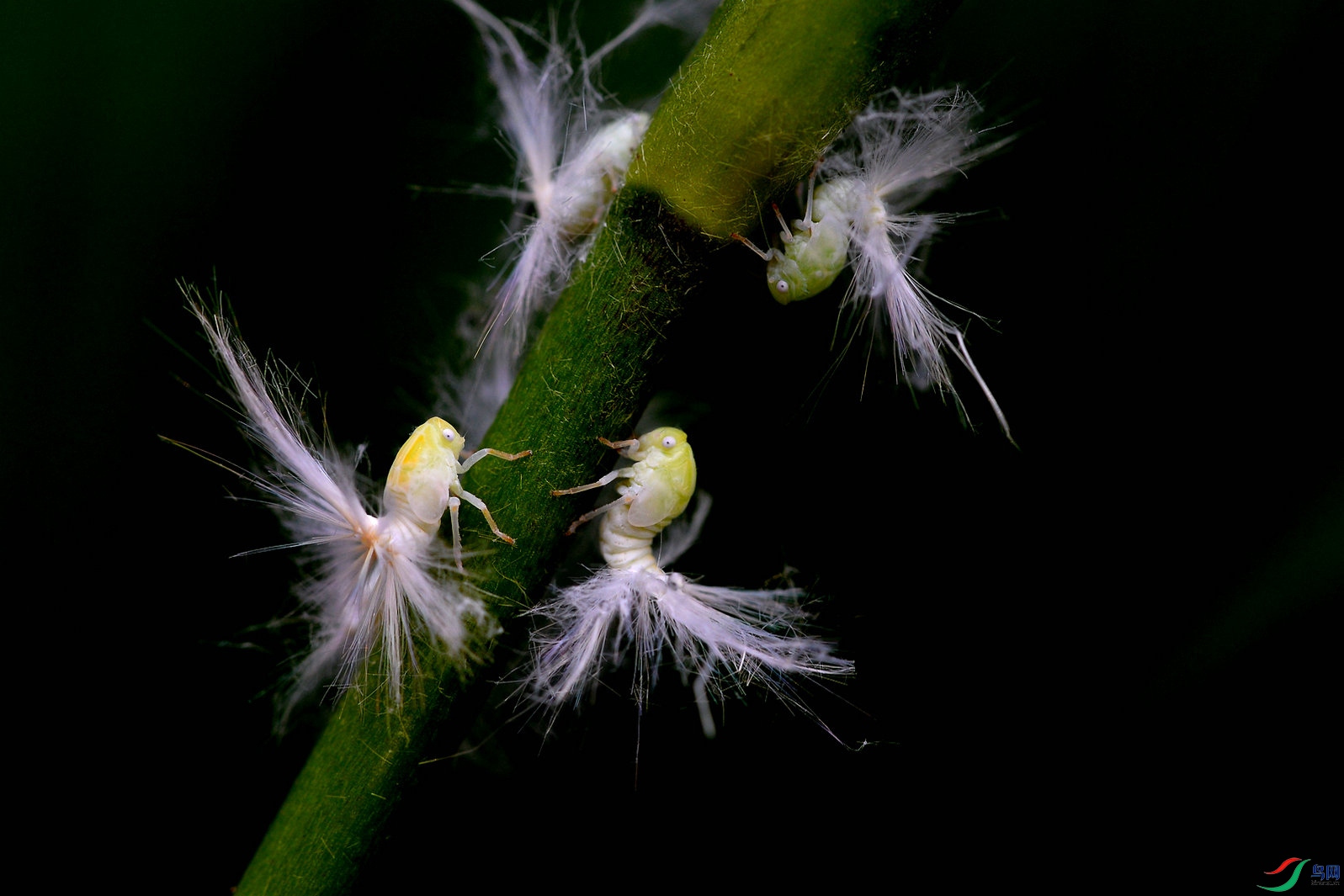 DSC_1465_����.jpg