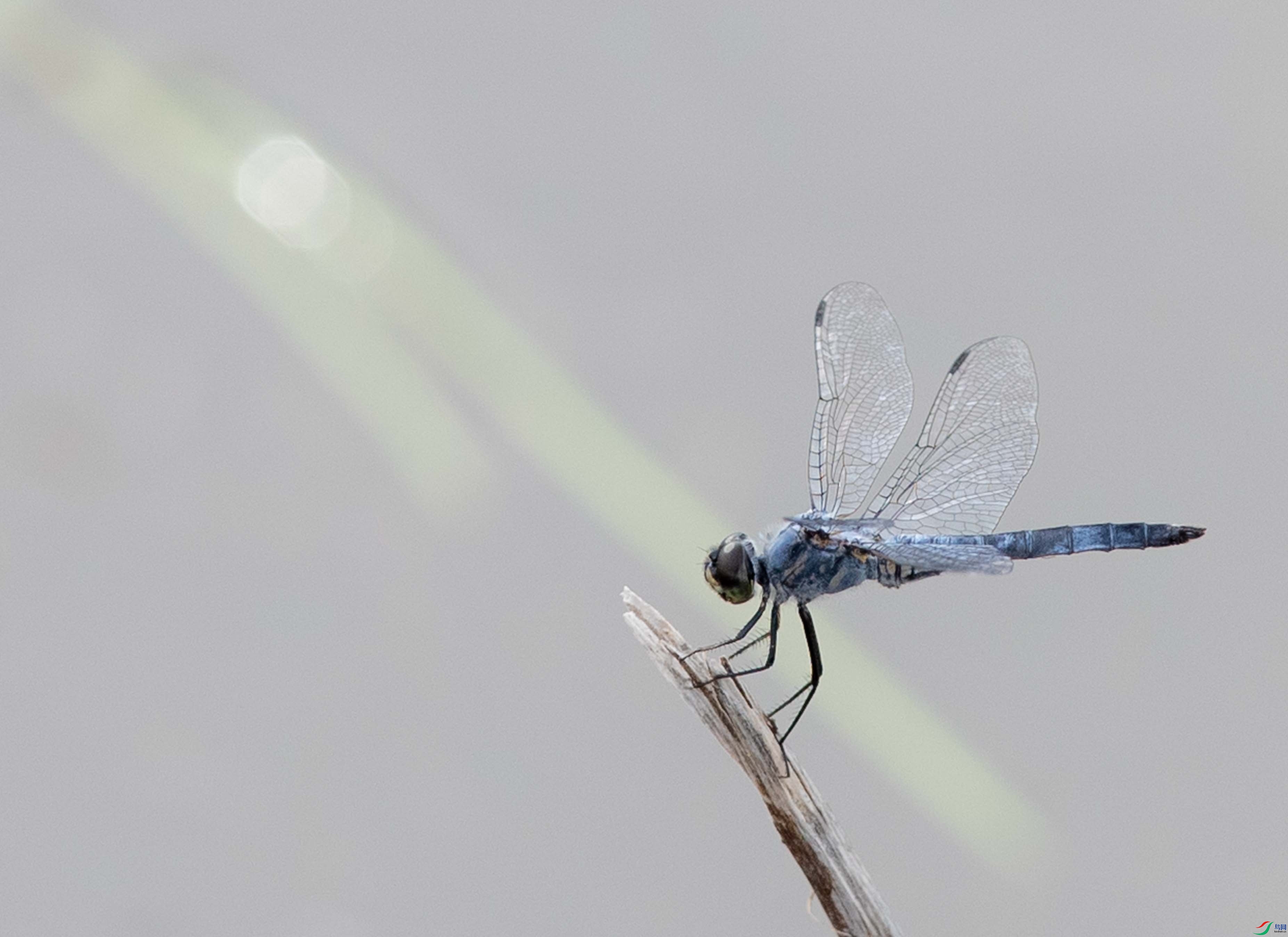 BW1I5310.jpg