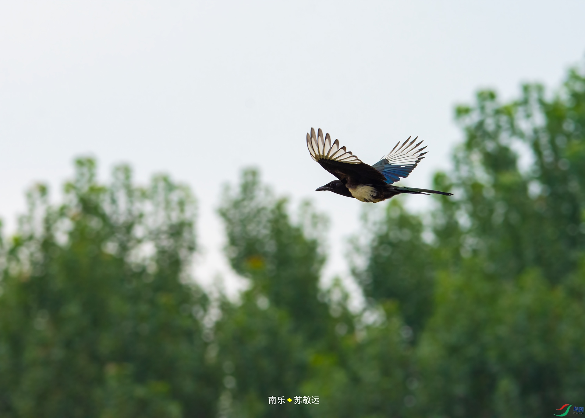 _DSC6348С.jpg