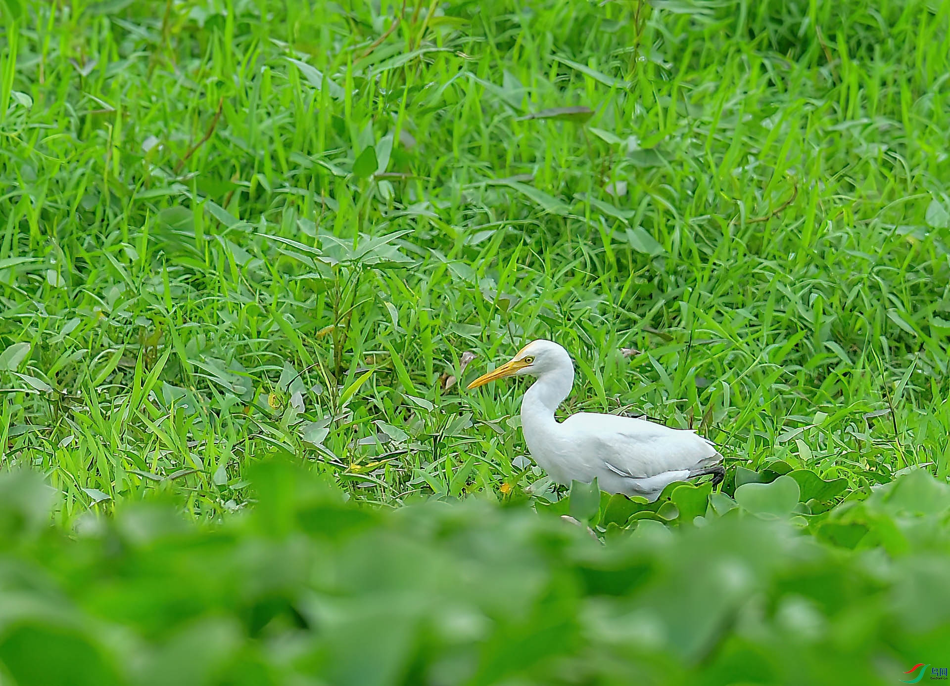 DSC_7896.JPG