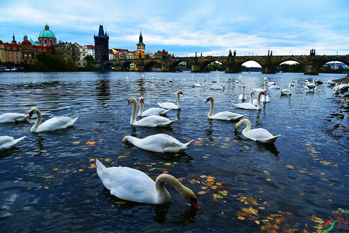 DSC_6392_.jpg