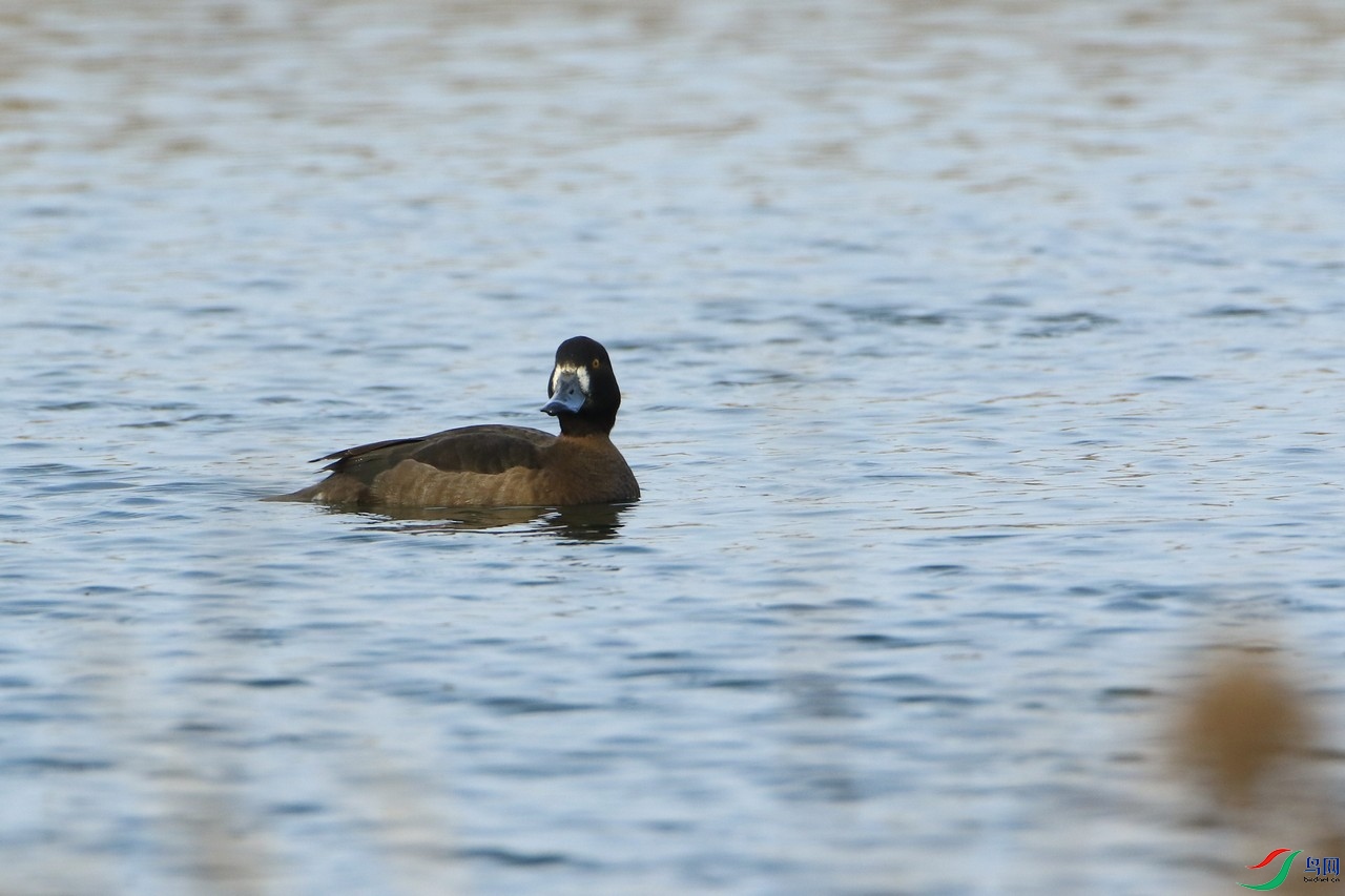 ǱѼ ��0F4A7625.jpg