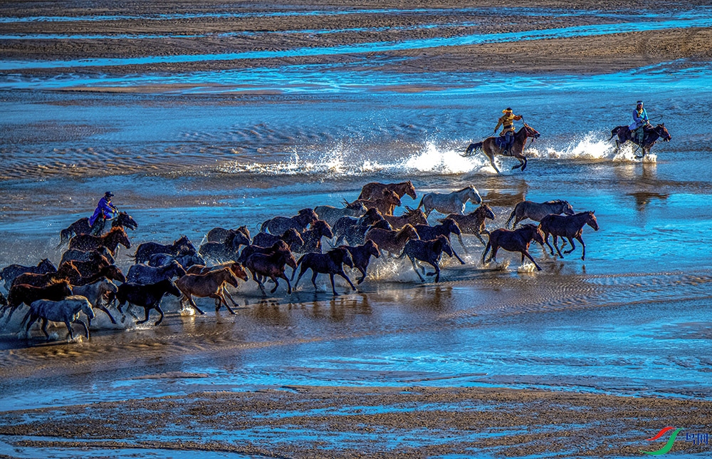 ��������