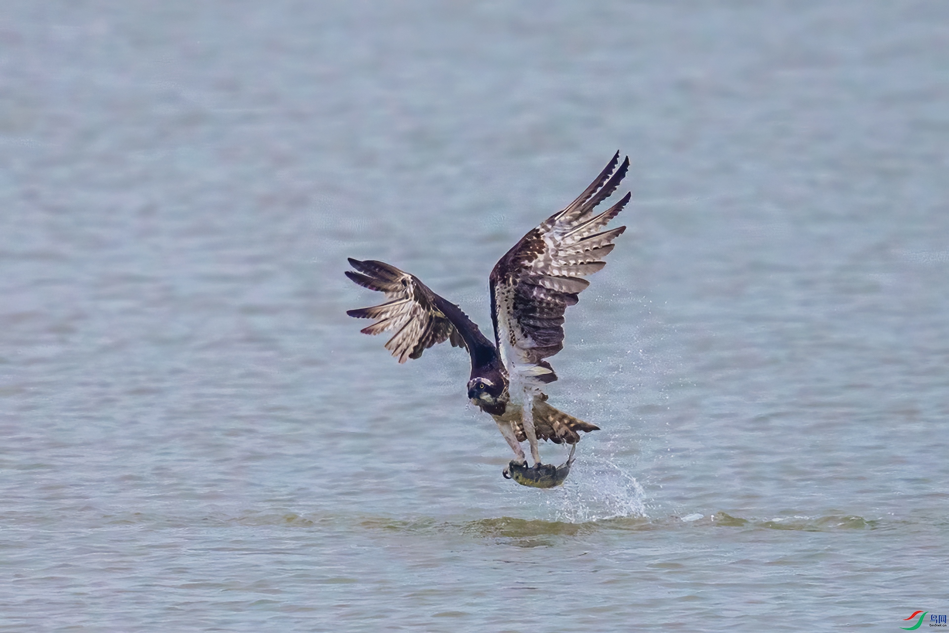 AV2U2351-�༭ ����.jpg