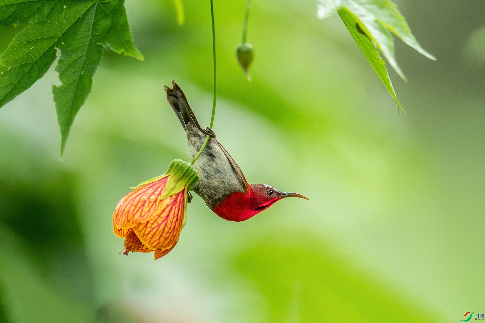 DSC_6912-1.jpg