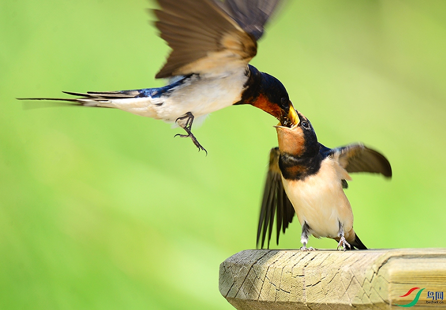 DSC_8744 ����.jpg