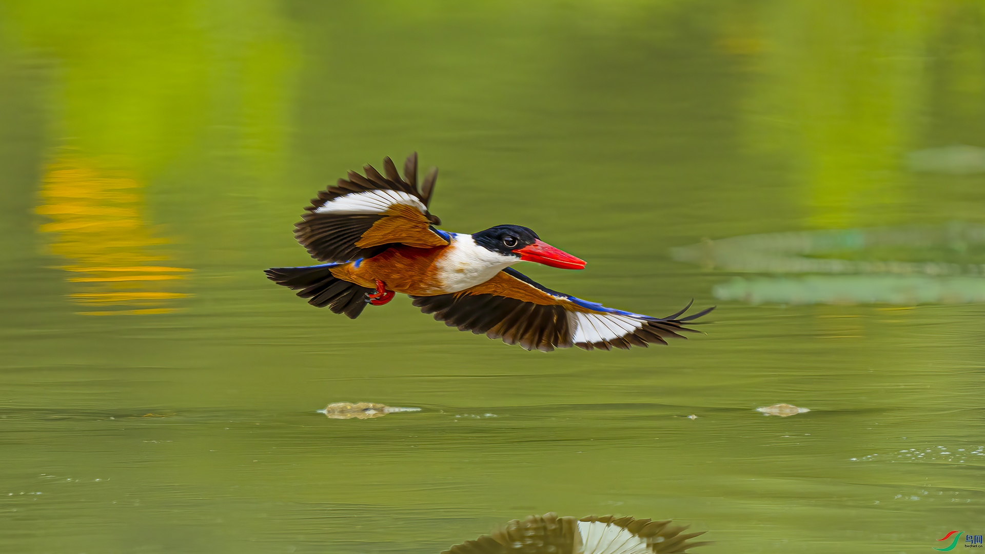 ��ˮ�Ϸɡ�DSC08185 -1.jpg