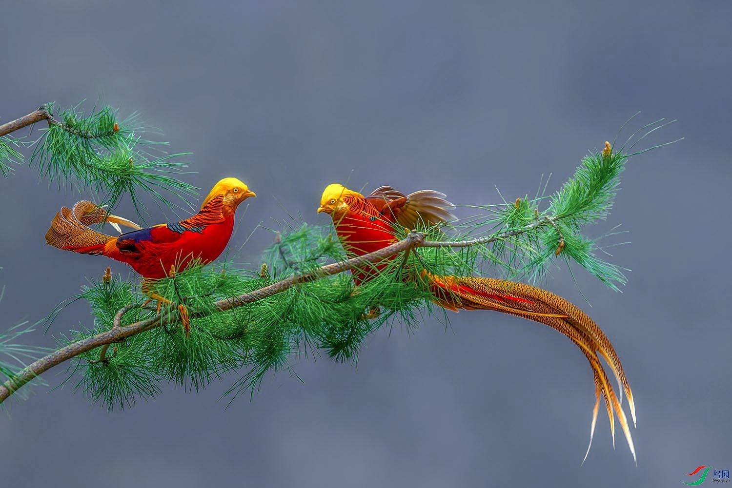 _DSC7679.jpg