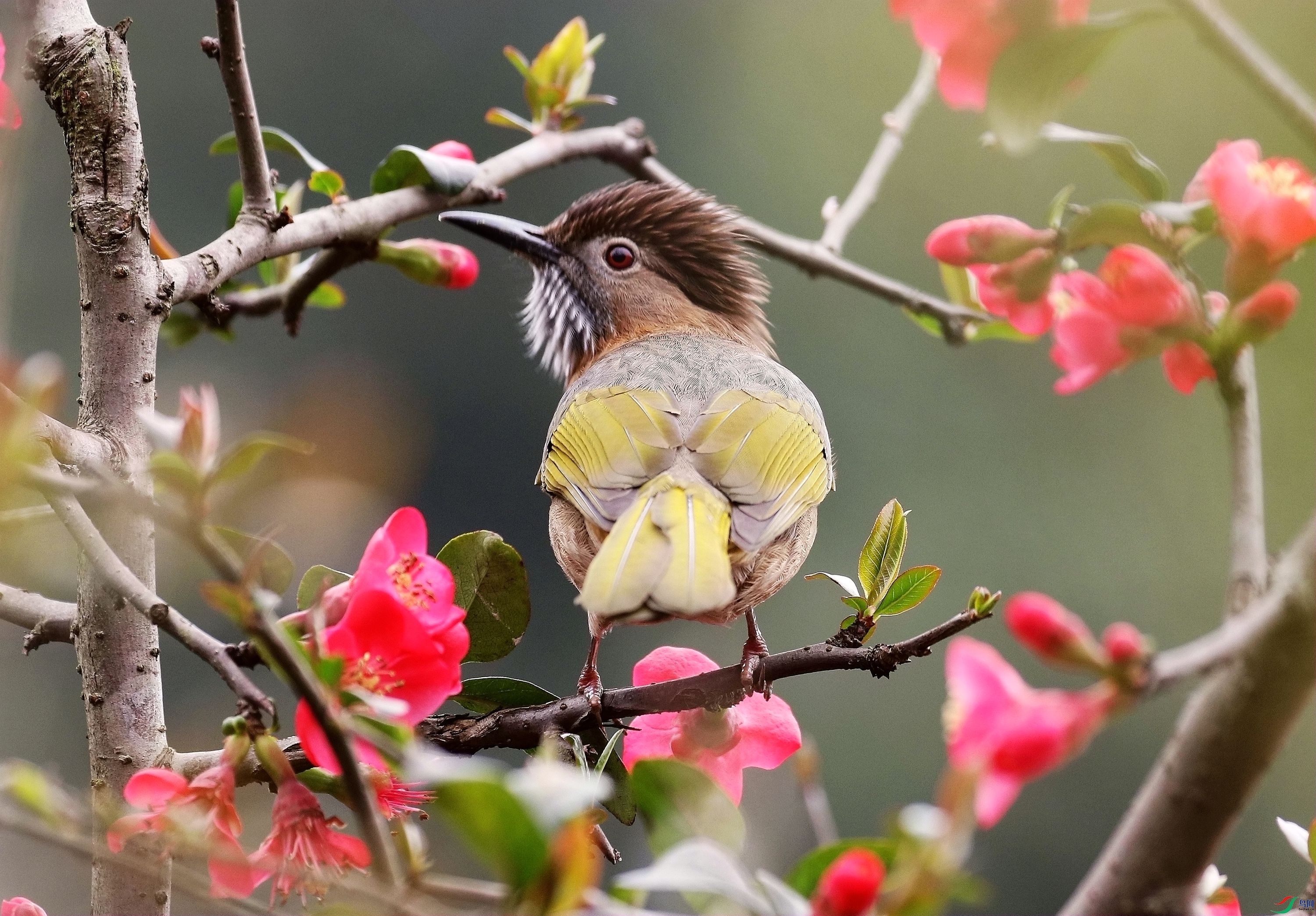 �̳�̽���1U4A4924_����.jpg