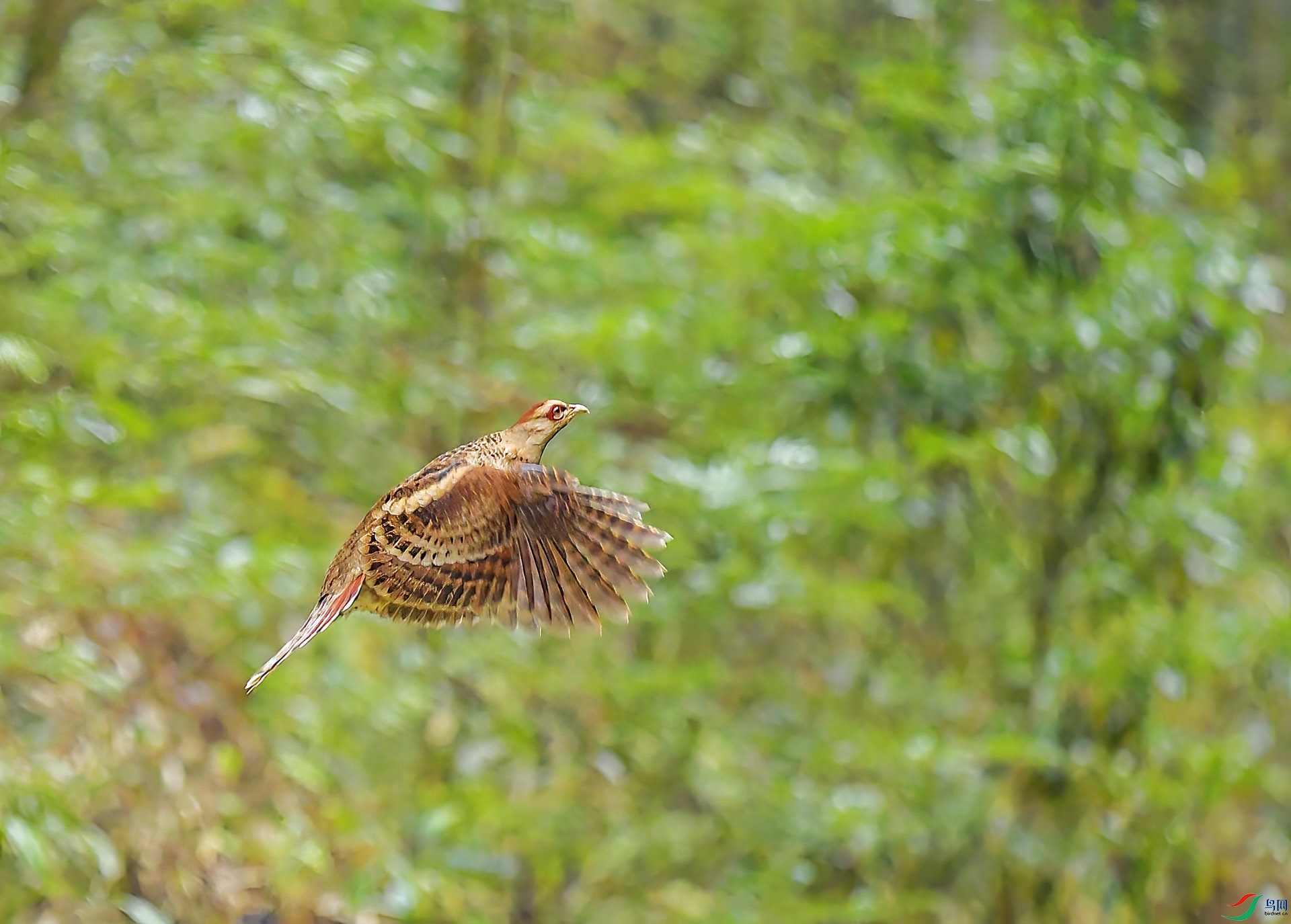 DSC_4500 ����.jpg