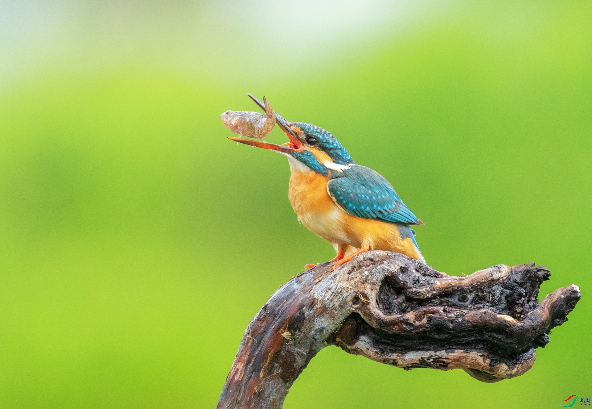 DSC_0797 ����.jpg