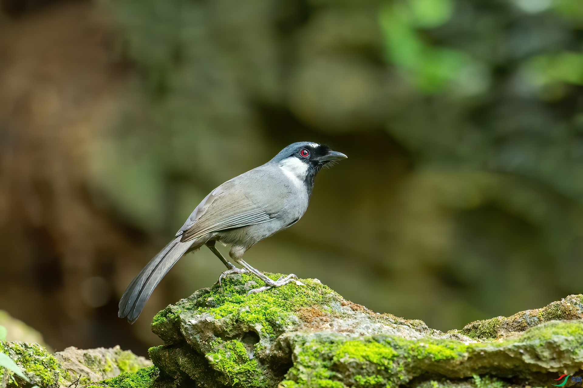 DSC_7927-1.jpg