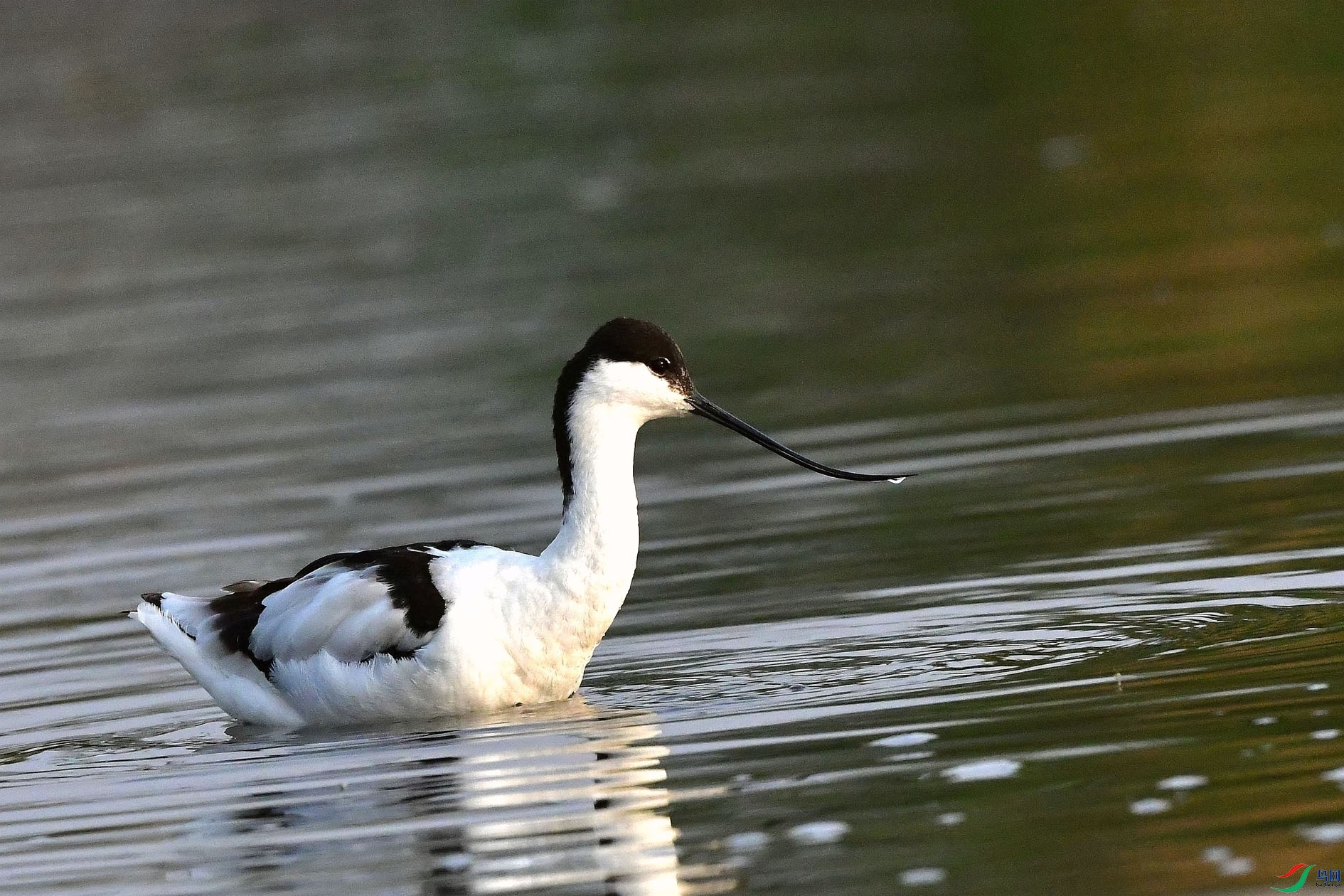 DSC_7969_����.jpg
