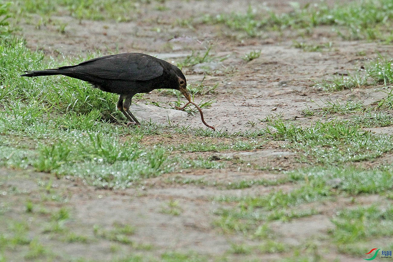 IMG_9948.jpg
