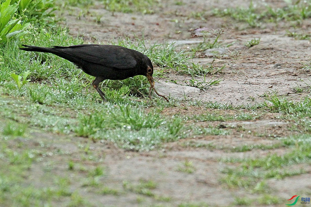 IMG_9956.jpg