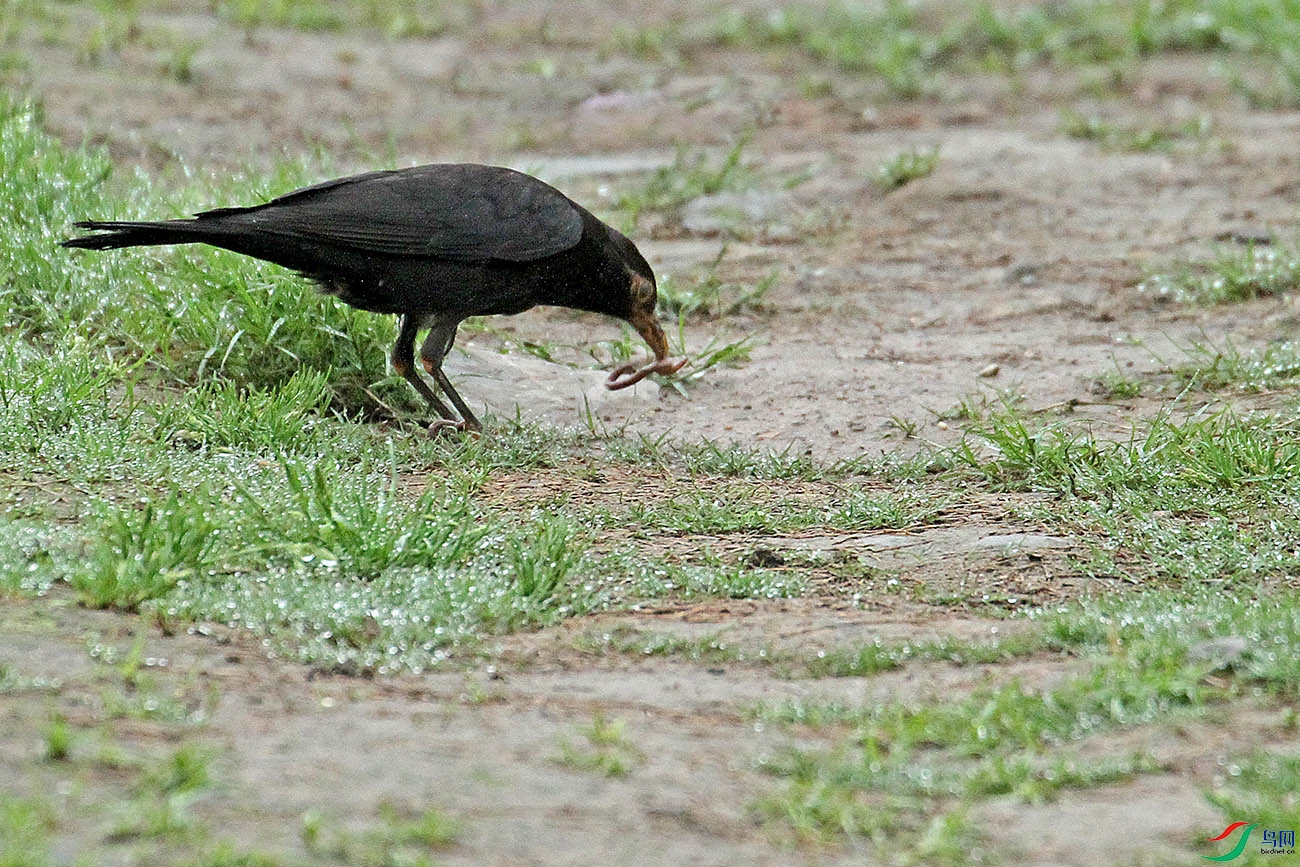 IMG_9957.jpg
