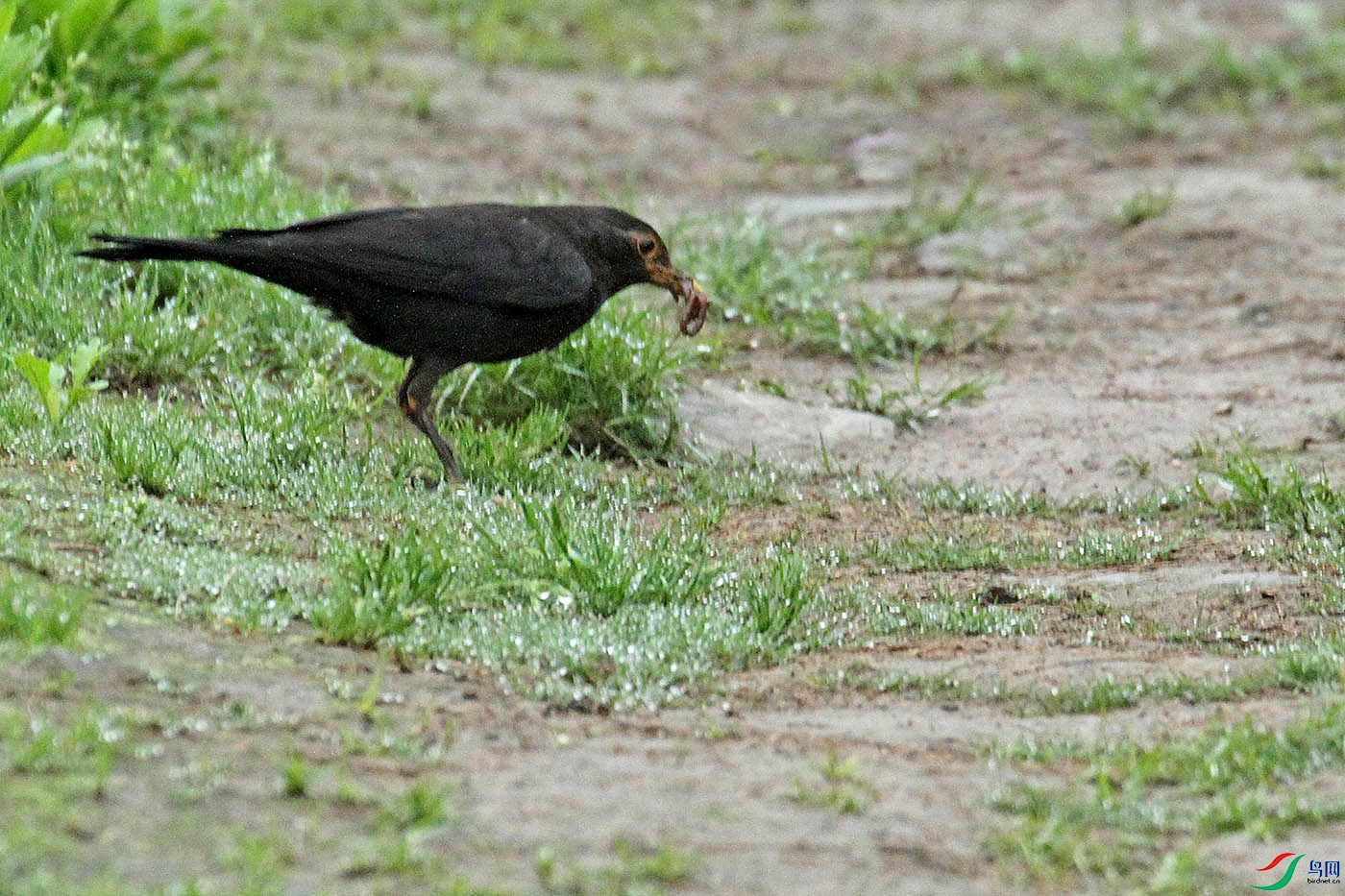 IMG_9958.jpg