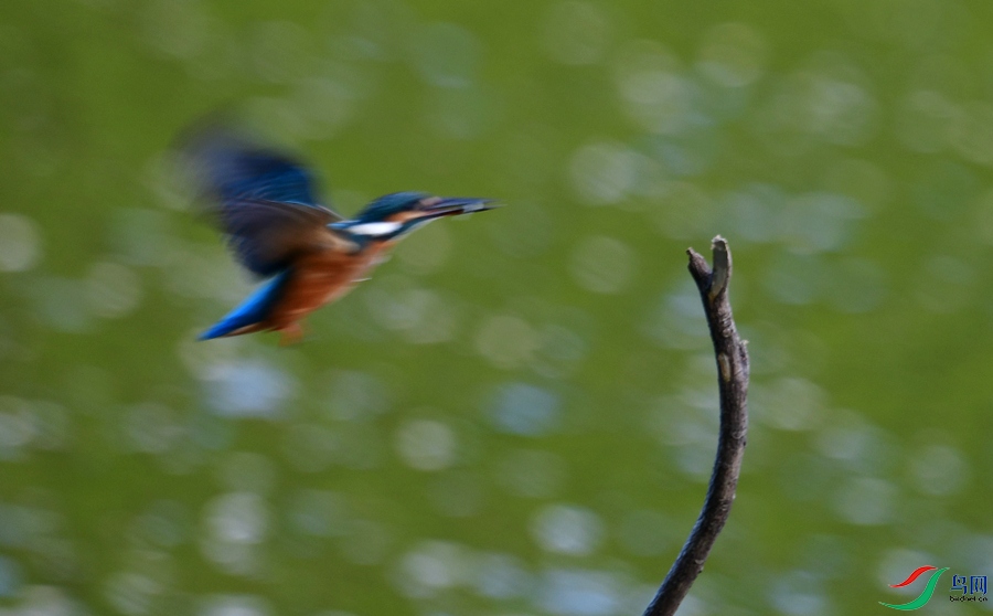 DSC_2423_��ͼ��_����222.jpg