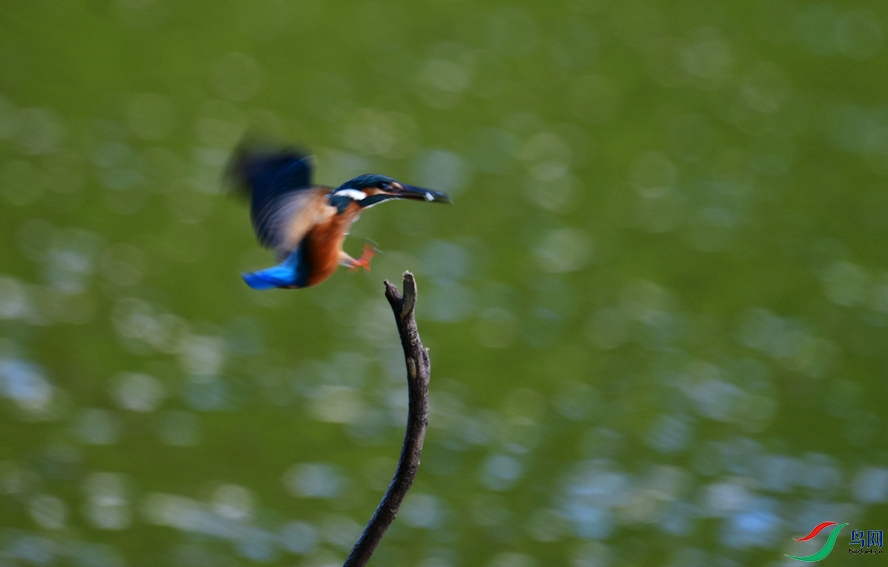 DSC_2424_��ͼ��_����222.jpg