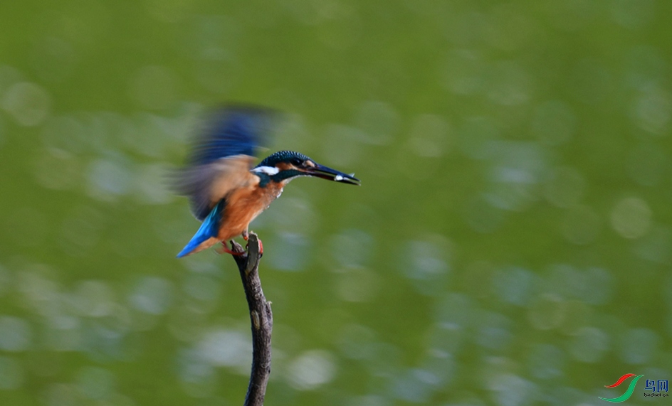 DSC_2425_��ͼ��_����222.jpg