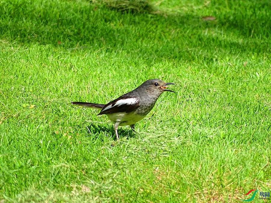 DSC02287.JPG