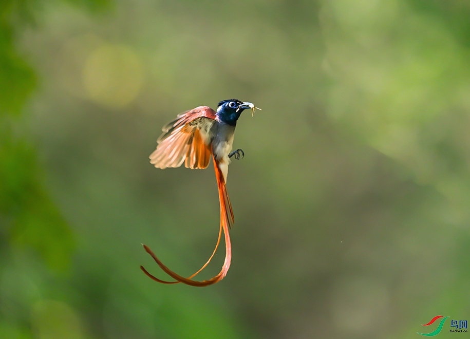 DSC_5558--2.jpg