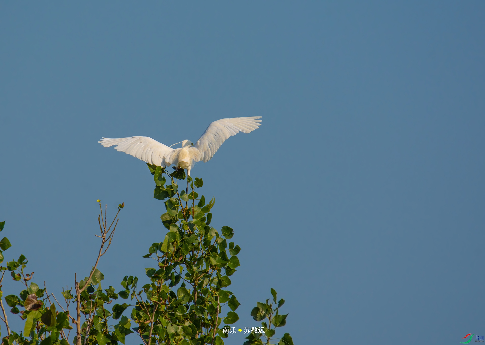 _DSC6538С.jpg
