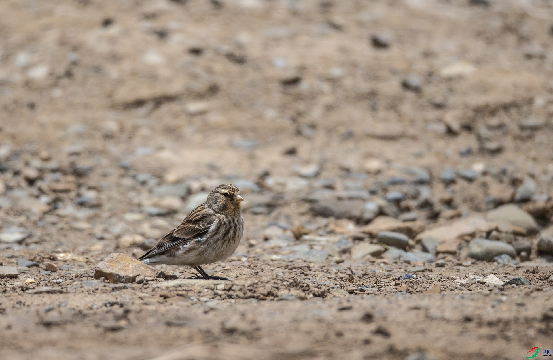 �����춥ȸ