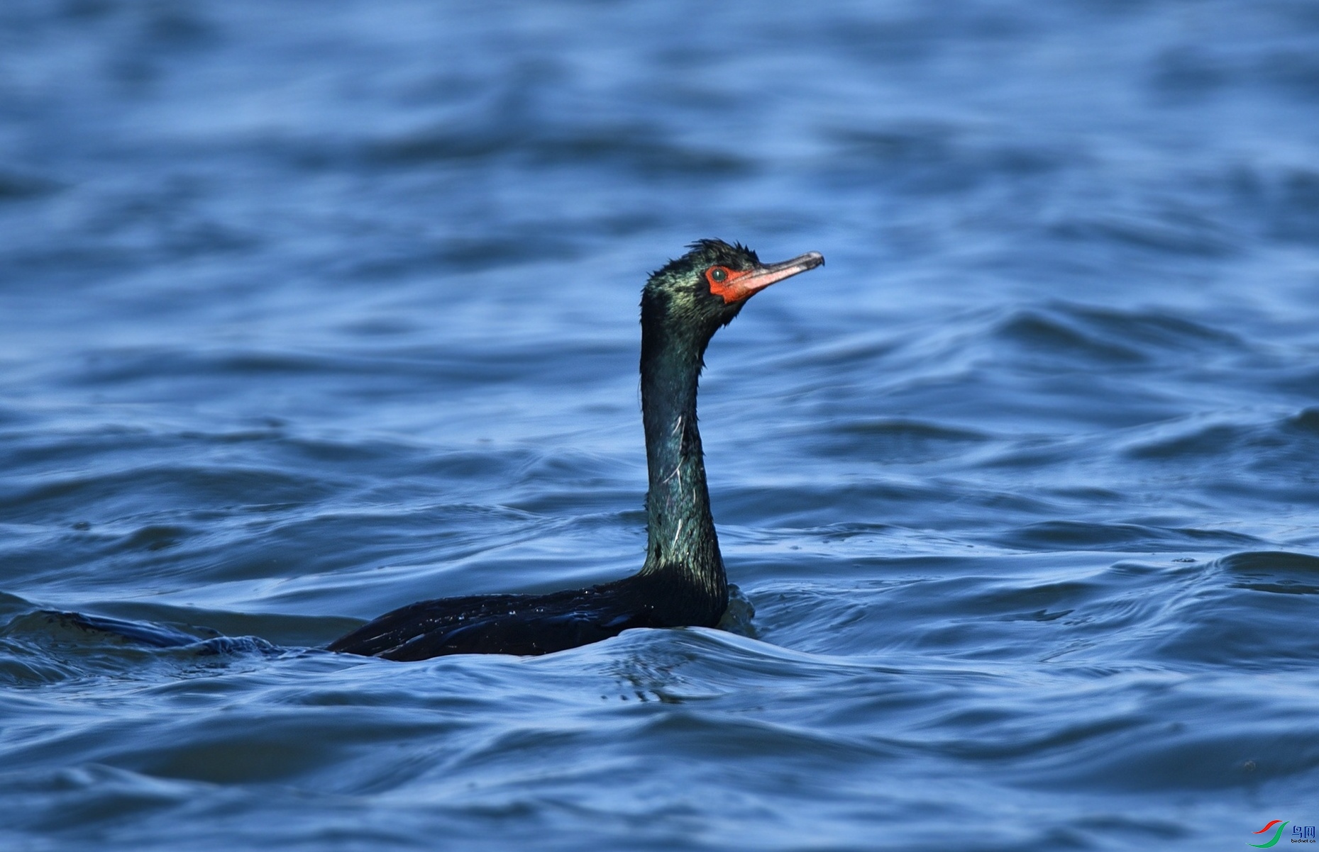 DSC_1968.jpg